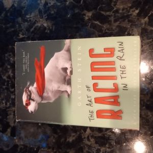 The Art of Racing in the Rain